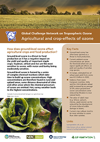 Agricultural and crop-effects of ozone Agricultural and crop-effects of ozone