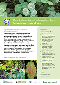 Ecosystem effects Ecosystem effects