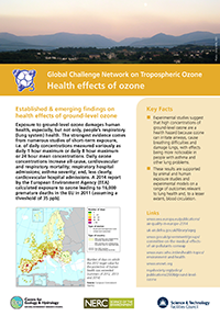 Health effects of Ozone Health effects of Ozone